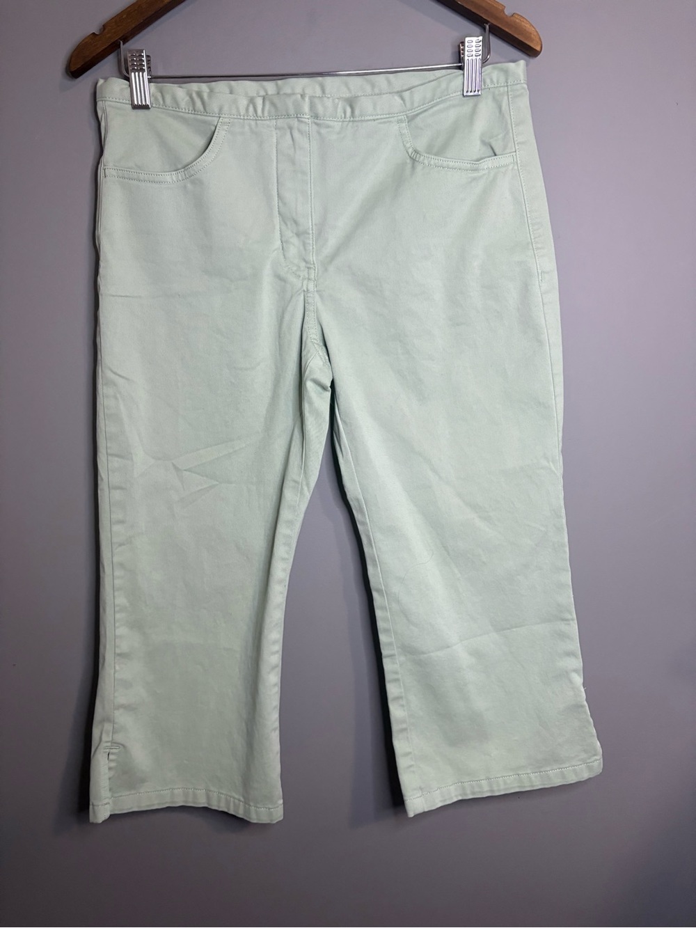 Banana Republic Mint Green Capri Pants Size 8 Petite Stretch Cotton Cropped - Picture 2 of 8